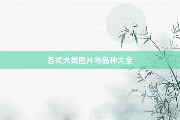 各式犬类图片与品种大全