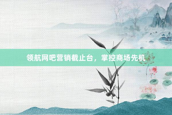 领航网吧营销截止台，掌控商场先机